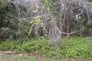 0 Hester Ave Ave, Sanford, FL 32773 - Photo 2