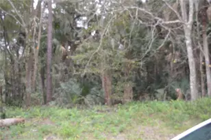 0 Hester Ave Ave, Sanford, FL 32773 - Photo 4