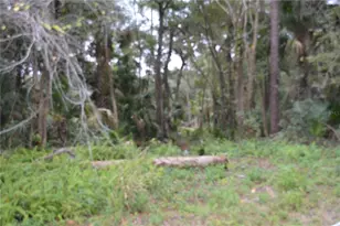 0 Hester Ave Ave, Sanford, FL 32773 - Photo 1