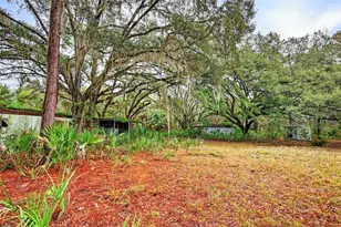 910 S County Road 21, Hawthorne, FL 32640 - Photo 4