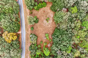 910 S County Road 21, Hawthorne, FL 32640 - Photo 12