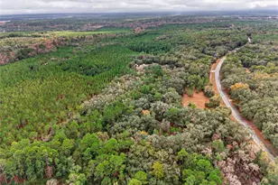 910 S County Road 21, Hawthorne, FL 32640 - Photo 2