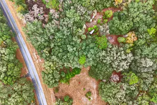 910 S County Road 21, Hawthorne, FL 32640 - Photo 10