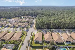 3447 Luna Bella Ln, New Smyrna Beach, FL 32168 - Photo 44