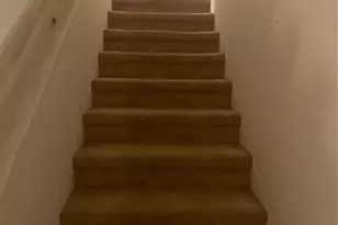 7338 E Bank Dr, Tampa, FL 33617 - Photo 4