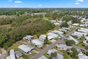 8 Cocos Plumosa Dr, Eustis, FL 32726 - Photo 40