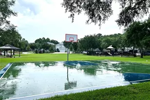 11210 Roseate Dr, Tampa, FL 33626 - Photo 50