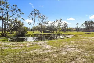 4775 Cypress Creek Ranch Rd, Saint Cloud, FL 34771 - Photo 50