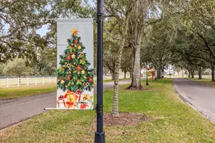 2446 Fairbluff Circle, Zellwood, FL 32798 - Photo 30