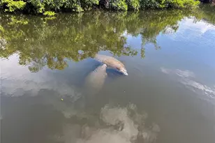 805 30th Ct E, Bradenton, FL 34208 - Photo 42