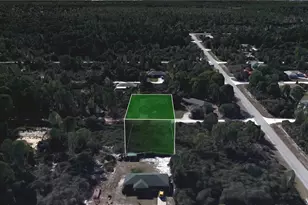 269 Condor Ave, Sebring, FL 33870 - Photo 12