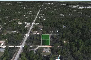 269 Condor Ave, Sebring, FL 33870 - Photo 4