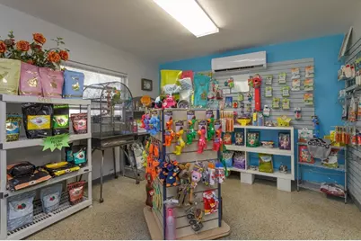 1933 S Volusia Avenue, Orange City, FL 32763 - Photo 16