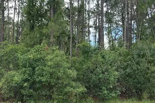 Bristol Ave, North Port, FL 34291 - Photo 1