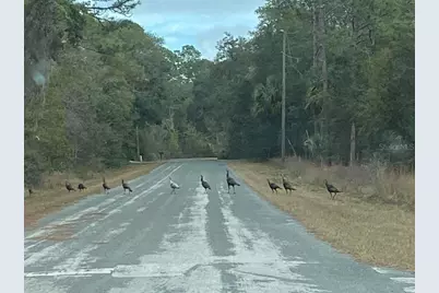 9648 N Country Club Way, Citrus Springs, FL 34434 - Photo 22