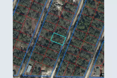 Ne 155th Court, Williston, FL 32696 - Photo 1