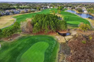 9915 Marsh Pointe Dr, Orlando, FL 32832 - Photo 72