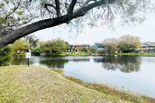 7177 E Bank Dr, Tampa, FL 33617 - Photo 12