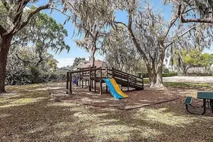 10817 Masters Dr, Clermont, FL 34711 - Photo 62