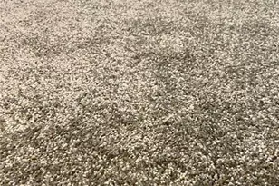 5459 Vineland Rd, Orlando, FL 32811 - Photo 8