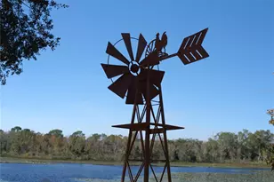 4144 Pelee St, Orlando, FL 32817 - Photo 48