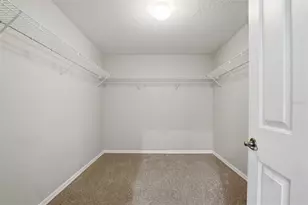 3644 Peppervine Pl, Wesley Chapel, FL 33544 - Photo 36