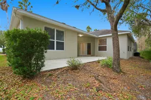 16161 Colchester Palms Dr, Tampa, FL 33647 - Photo 44