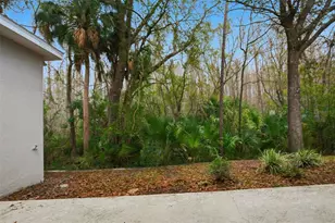 16161 Colchester Palms Dr, Tampa, FL 33647 - Photo 42