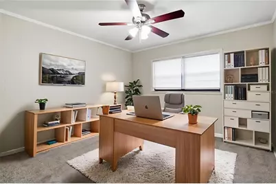 405 Park Ridge Avenue, Tampa, FL 33617 - Photo 4