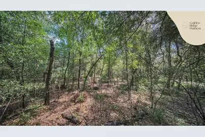 Dunham Ave, Interlachen, FL 32148 - Photo 12