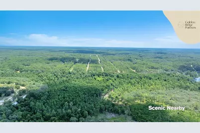 Dunham Ave, Interlachen, FL 32148 - Photo 26