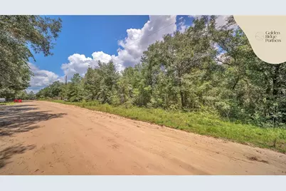 Dunham Ave, Interlachen, FL 32148 - Photo 14