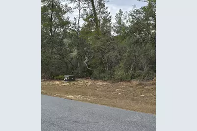 165 SW Street Road, Ocala, FL 34473 - Photo 6