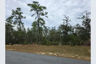 165 SW Street Road, Ocala, FL 34473 - Photo 4