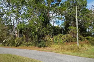 36 Buffalo Meadow Ln, Palm Coast, FL 32137 - Photo 1