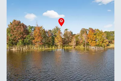 9222 Charles E Limpus Road, Orlando, FL 32836 - Photo 16