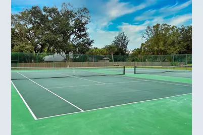 10442 Birch Tree Lane, Windermere, FL 34786 - Photo 56