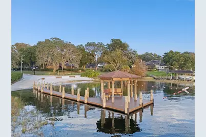 10442 Birch Tree Lane, Windermere, FL 34786 - Photo 46