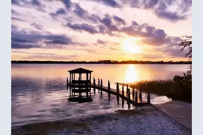 10442 Birch Tree Lane, Windermere, FL 34786 - Photo 50