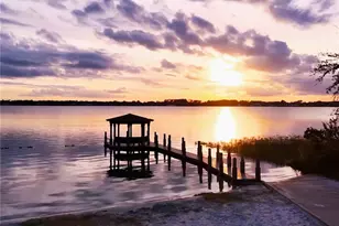 10442 Birch Tree Ln, Windermere, FL 34786 - Photo 50