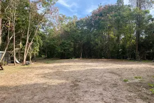 4327 Plymouth Sorrento Rd, Apopka, FL 32712 - Photo 4