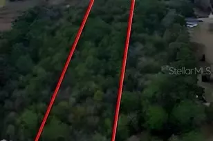 4327 Plymouth Sorrento Rd, Apopka, FL 32712 - Photo 6