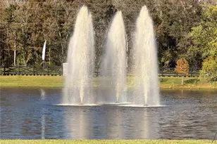 11280 Blue Bay Dr, Orlando, FL 32832 - Photo 40