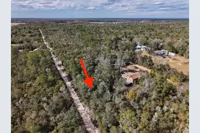 Ne 233rd Lane, Fort Mc Coy, FL 32134 - Photo 8