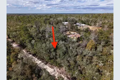 Ne 233rd Lane, Fort Mc Coy, FL 32134 - Photo 1