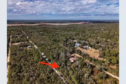 Ne 233rd Lane, Fort Mc Coy, FL 32134 - Photo 2