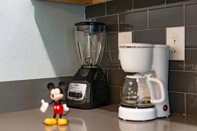 4828 Dedication Street, Kissimmee, FL 34746 - Photo 76