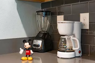 4828 Dedication St, Kissimmee, FL 34746 - Photo 76