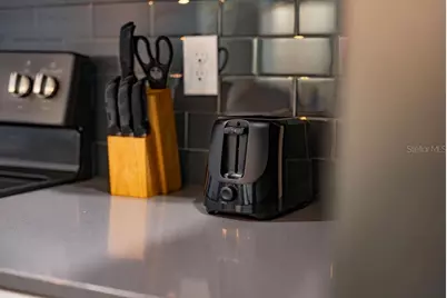 4828 Dedication Street, Kissimmee, FL 34746 - Photo 74