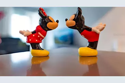 4828 Dedication Street, Kissimmee, FL 34746 - Photo 78